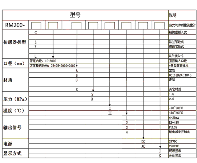 高溫熱式氣體質量流量計 RM200